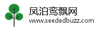 凤泊鸾飘网